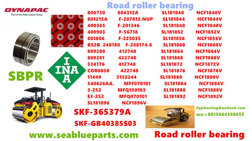 Road roller bearing 800730