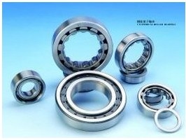 Cylindrical roller bearing >>d 15~50