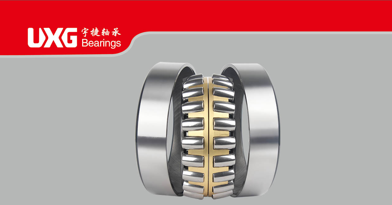Double-Row Self-aligning Separable Outer Ring Bearing