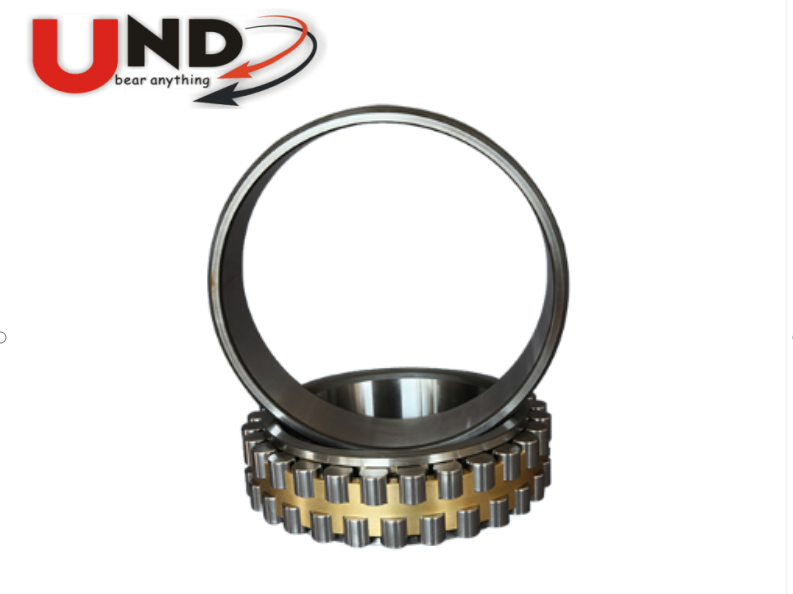 Double Row Cylindrical Roller Bearings from UND