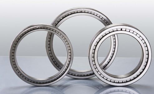 full complements roller bearing