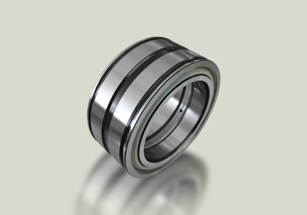 Full Complement Cylindrical Roller Bearing SL045010PP (NCF5010)