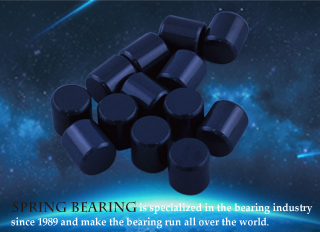 Ceramic Roller Bearing