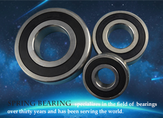 Stainless Steel Bearing
