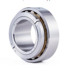 Split Cylindrical Roller Bearing