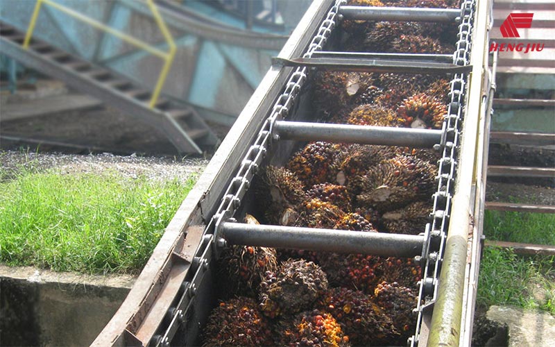 Palm Oil