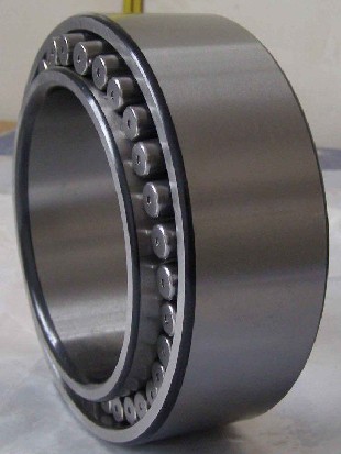CARB Toroidal Roller Bearing