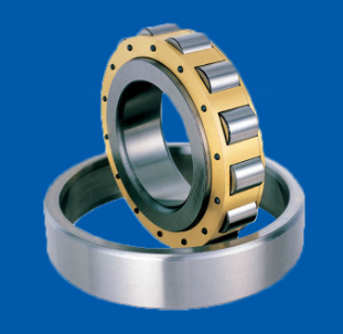 Single Row Cylindrical Roller Bearings
