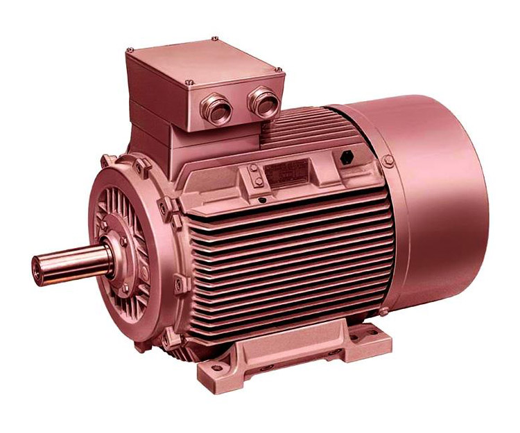 Electric Motor