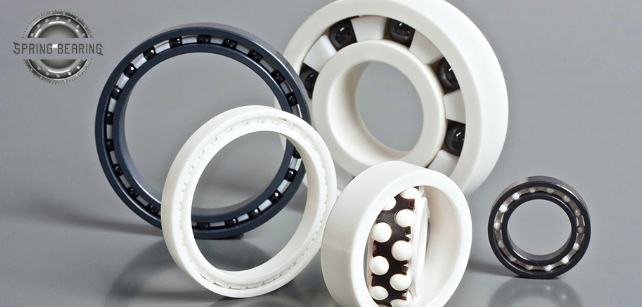 Full Ceramic Bearings