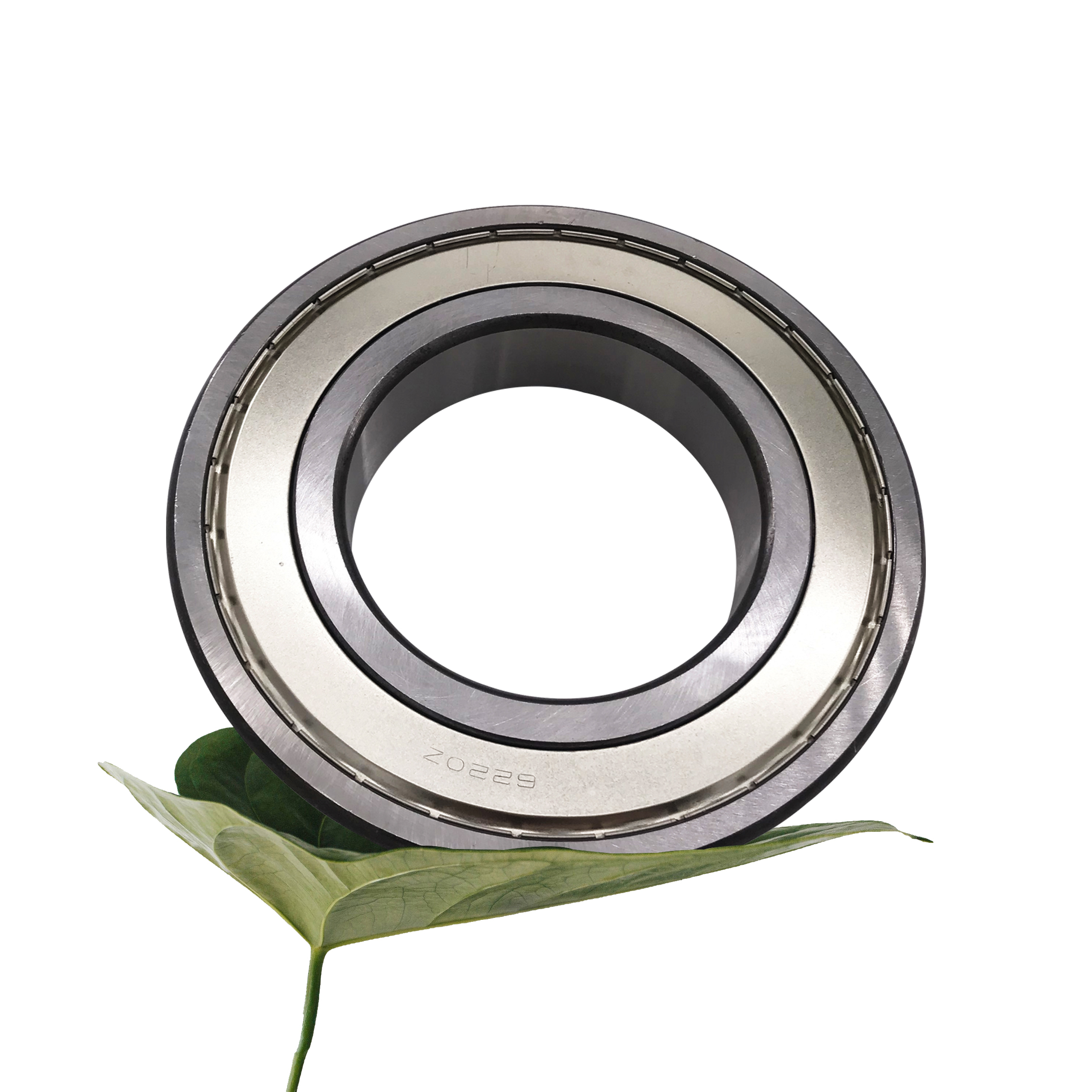 6000 Series with Deep Groove Ball Bearings