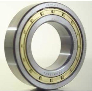 IBC Bearings2