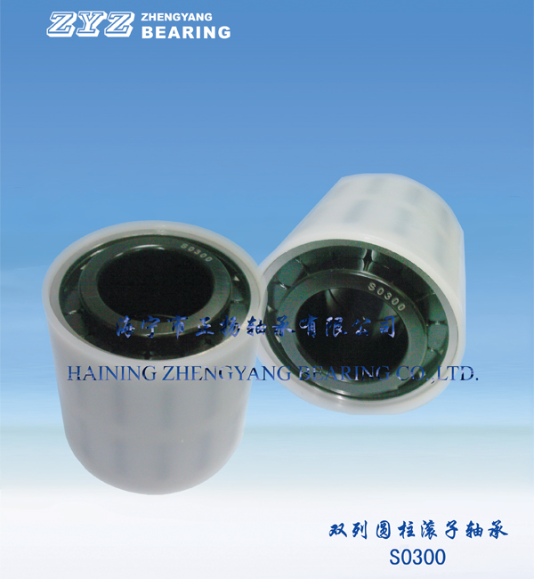 Double row cylindrical roller bearings SO300