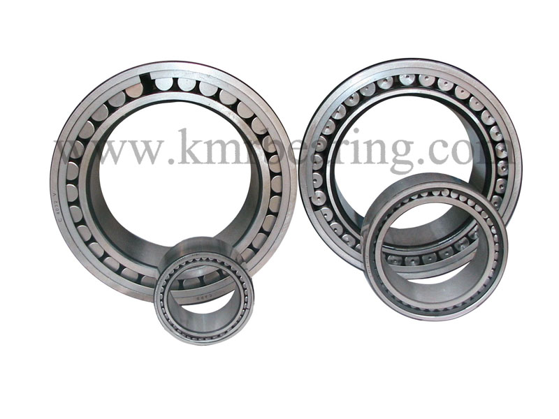 Camery CARB toroidal roller bearings
