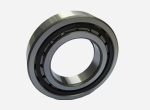 Single Row Cylindrical Roller Bearings