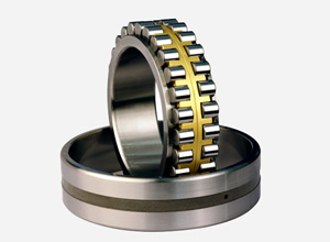 Double Row Cylindrical Roller Bearings