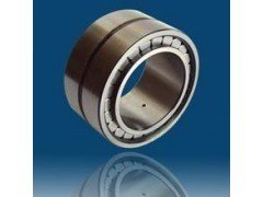 NNF5005 ADA-2LSV  full complemented Cylindrical roller bearing without