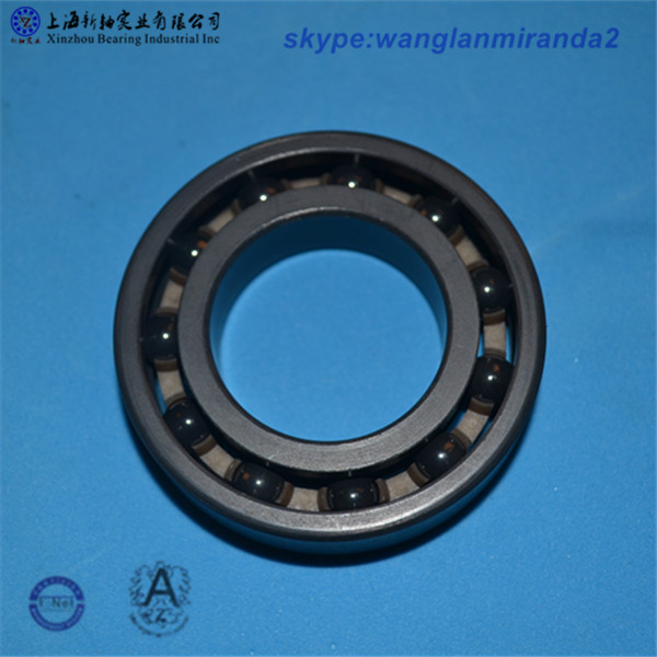 6012 ceramic bearing