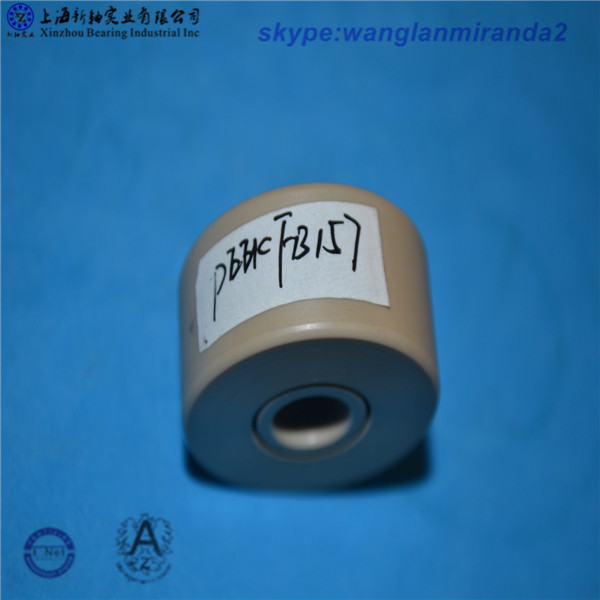 peek plastic bearing 6023