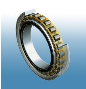 Single row full complement Cylindrical roller bearings