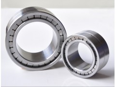 Double row full complement cylindrical roller bearing