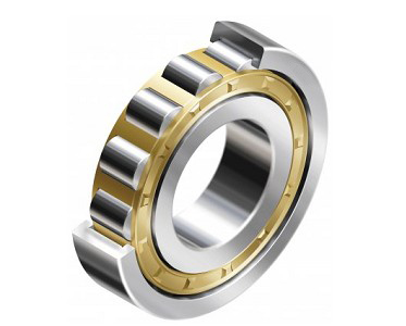 Single Row Cylindrical Roller Bearings