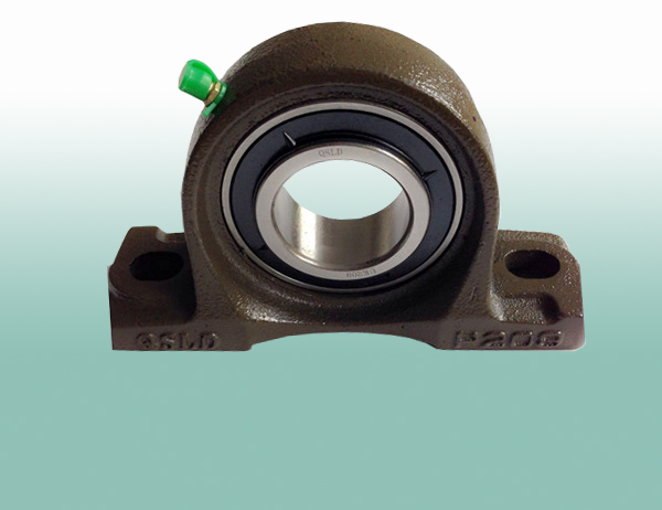 Pillow Block Bearing 2