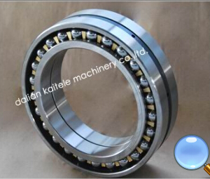 305262/D Export to Europe