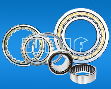 Double-row Cylindrical Roller Bearing