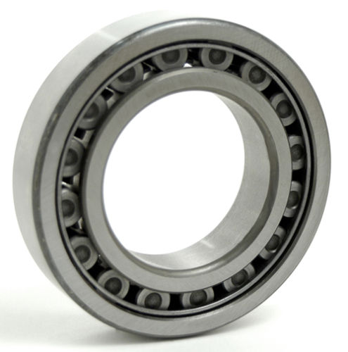 NJ303M Cylindrical Roller Bearing 17x47x14 Cylindrical Bearings