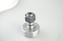 Roller bearing with bolt
