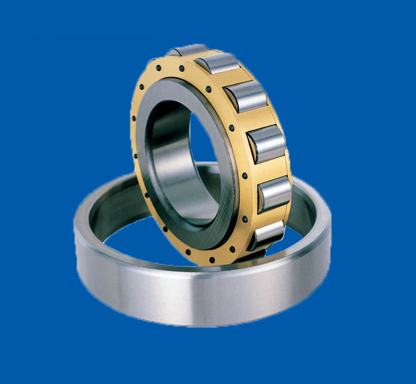 Single Row Cylindrical Roller Bearings