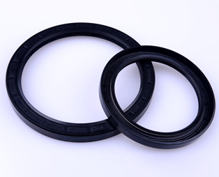 Oil Seals Die Slot In O-Ring 3.53