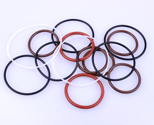 Oil Seals Rotary Shaft Seal 315.01～400.00