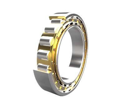 Cylindrical Roller Bearings RNU Series RNU310E