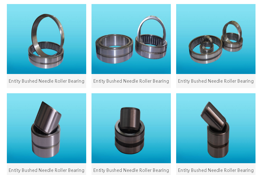 Entity Bushed Needle Roller Bearing