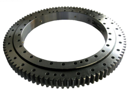 China Best Quality Rollix Slewing Ring Bearing