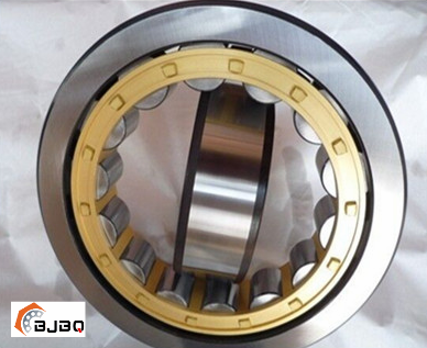 Cylindrical roller bearing NU1000 Series