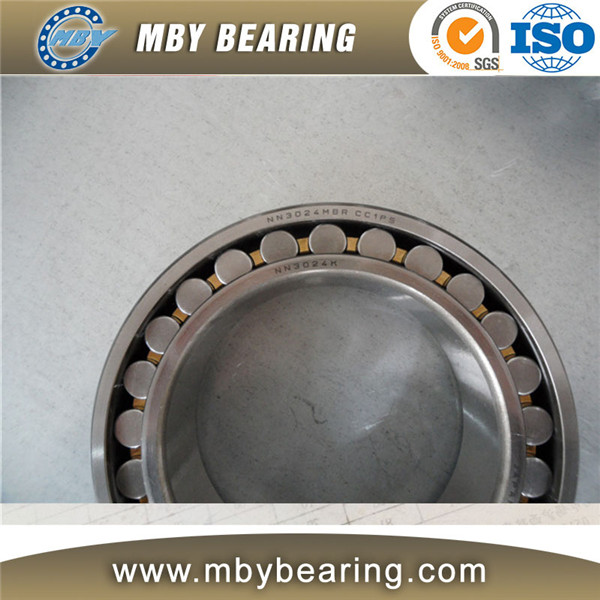 Double rows cylindrical roller bearing