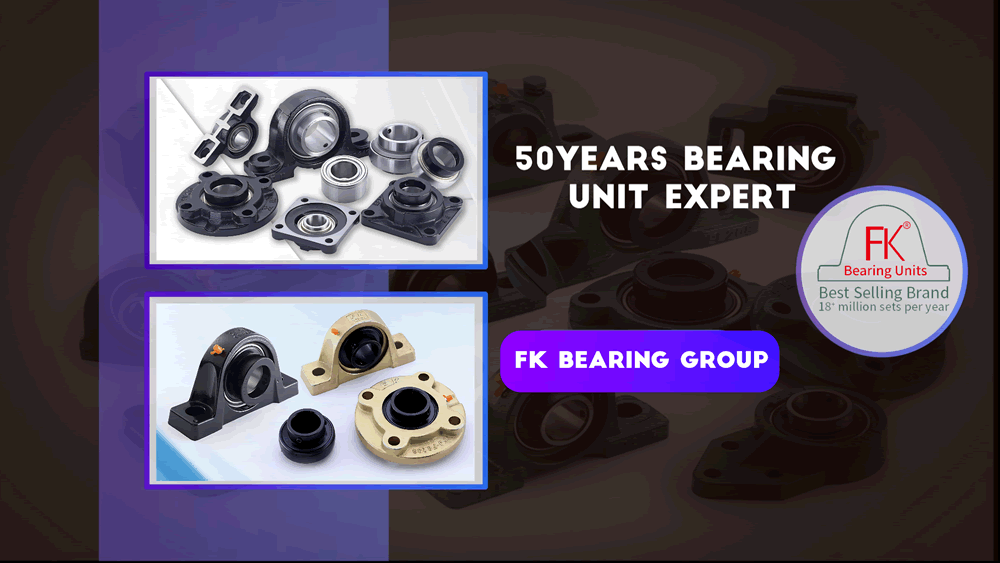 2022 FK Bearing Nov Video display
