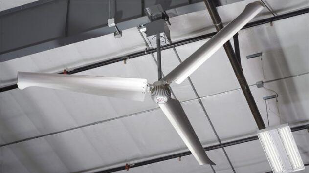 1564458709220193.jpg 16.jpg