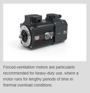 1608667052102975.jpg 9.jpg