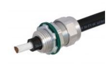 1614662994107248.jpg 2.jpg