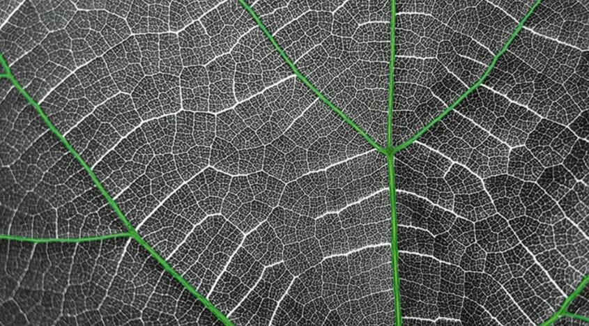 1615181597124990.jpg 8.jpg