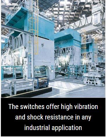 1638433051138570.jpg 8.jpg