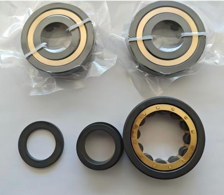 Si3N4 NJ305 Bearings with Si3N4 Rings & Rollers and Brass Cage.jpg