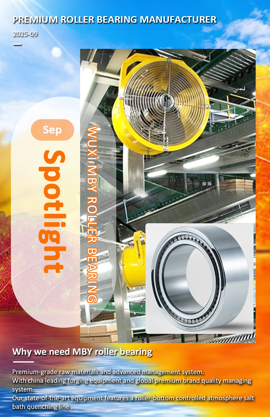 2025 Sep spotlight high quality roller bearing