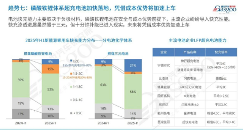 Trend 7: Accelerating Adoption of Lithium Iron Phosphate Supercharging.png
