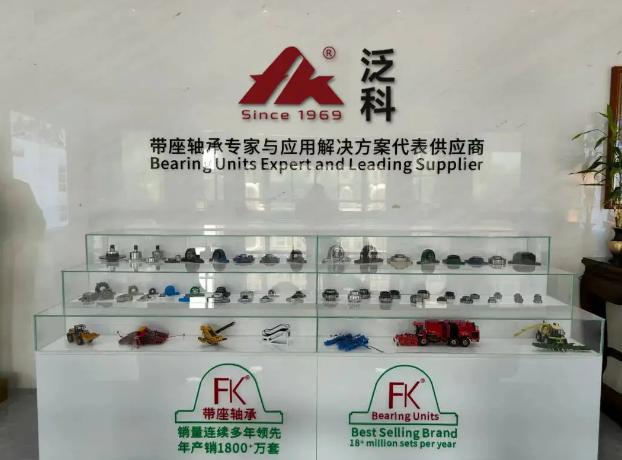 FK bearing unit factory