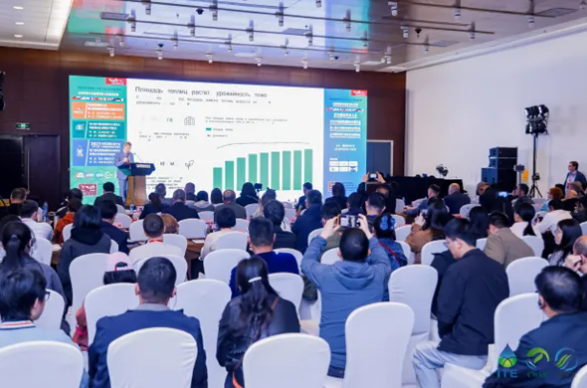 Building Bridges of Global Connectivity to Jointly Explore New Frontiers for 
